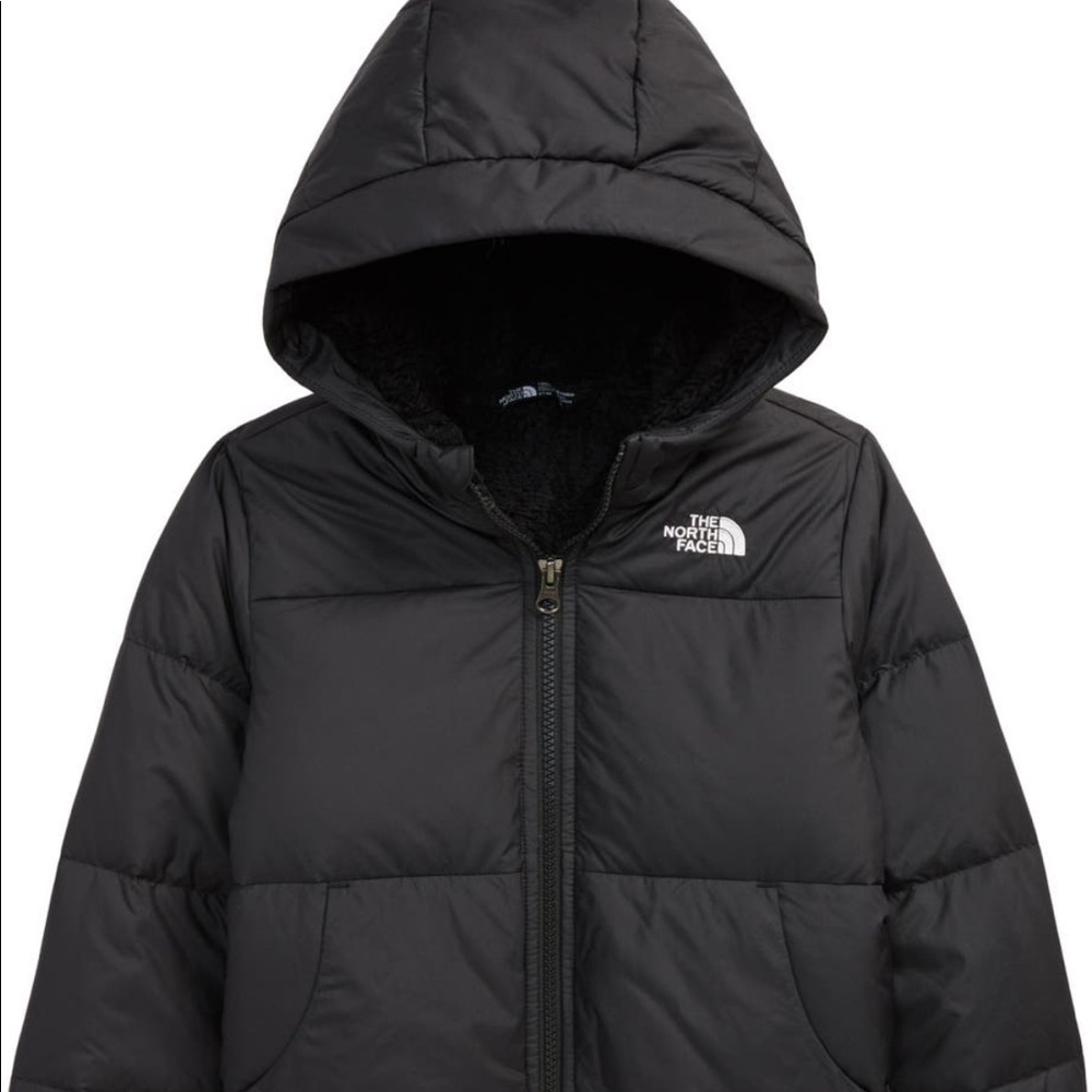The North Face Moondoggy Water Repellent Down Jacket